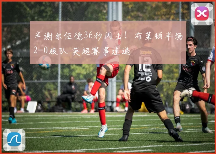 辛谢尔伍德36秒闪击!布莱顿半场2-0狼队 英超赛事速递